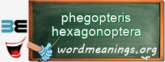 WordMeaning blackboard for phegopteris hexagonoptera